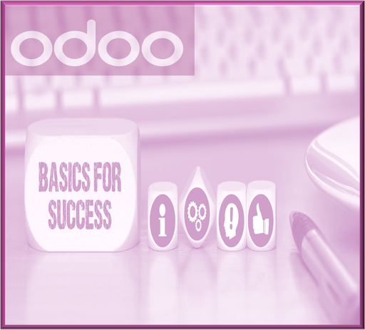 Grundlagen - Odoo sicher beherrschen